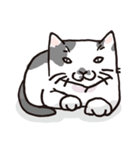 白黒ネコ（個別スタンプ：10）
