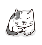 白黒ネコ（個別スタンプ：11）