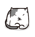 白黒ネコ（個別スタンプ：12）