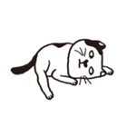 白黒ネコ（個別スタンプ：14）