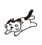 白黒ネコ（個別スタンプ：15）