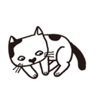 白黒ネコ（個別スタンプ：19）