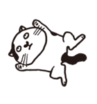 白黒ネコ（個別スタンプ：20）