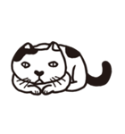 白黒ネコ（個別スタンプ：21）