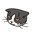 白黒ネコ（個別スタンプ：27）