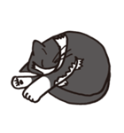 白黒ネコ（個別スタンプ：28）