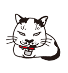 白黒ネコ（個別スタンプ：35）