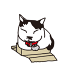白黒ネコ（個別スタンプ：36）
