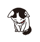 白黒ネコ（個別スタンプ：39）