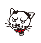 白黒ネコ（個別スタンプ：40）