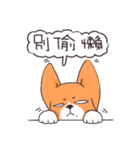 Corgi of OldV Part 3（個別スタンプ：39）
