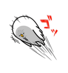 とりです。（個別スタンプ：6）