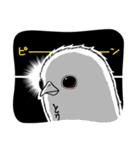 とりです。（個別スタンプ：33）