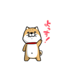 しばいぬ きよし（個別スタンプ：1）