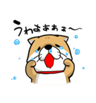 しばいぬ きよし（個別スタンプ：3）