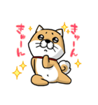 しばいぬ きよし（個別スタンプ：6）