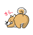 しばいぬ きよし（個別スタンプ：7）