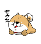 しばいぬ きよし（個別スタンプ：10）