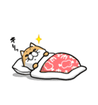 しばいぬ きよし（個別スタンプ：11）