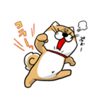 しばいぬ きよし（個別スタンプ：12）