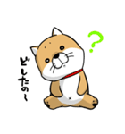 しばいぬ きよし（個別スタンプ：14）
