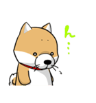 しばいぬ きよし（個別スタンプ：19）