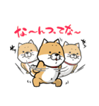 しばいぬ きよし（個別スタンプ：20）