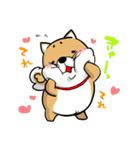 しばいぬ きよし（個別スタンプ：21）