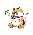 しばいぬ きよし（個別スタンプ：23）