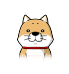 しばいぬ きよし（個別スタンプ：25）