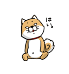 しばいぬ きよし（個別スタンプ：29）