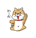 しばいぬ きよし（個別スタンプ：30）