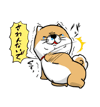 しばいぬ きよし（個別スタンプ：31）
