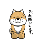 しばいぬ きよし（個別スタンプ：36）