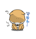 しばいぬ きよし（個別スタンプ：37）
