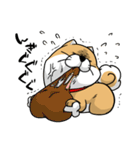 しばいぬ きよし（個別スタンプ：38）
