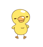 Cutie baby duck（個別スタンプ：12）