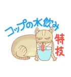 ねこ実話1（個別スタンプ：25）