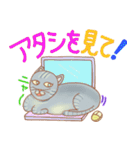 ねこ実話1（個別スタンプ：30）