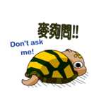 The cute tortoise 2（個別スタンプ：11）