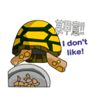 The cute tortoise 2（個別スタンプ：13）