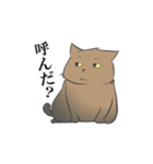 うちのねこーず。（個別スタンプ：2）