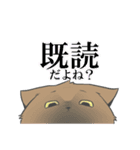 うちのねこーず。（個別スタンプ：5）
