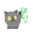 うちのねこーず。（個別スタンプ：15）