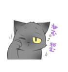 うちのねこーず。（個別スタンプ：17）