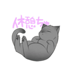 うちのねこーず。（個別スタンプ：20）