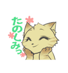 うちのねこーず。（個別スタンプ：21）