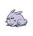 Bunney（個別スタンプ：1）