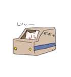 顔が大きい子猫（個別スタンプ：11）