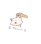 顔が大きい子猫（個別スタンプ：33）
